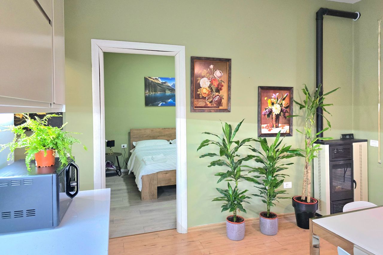 21 Lalzit Bay, 2015, Durres, Albania