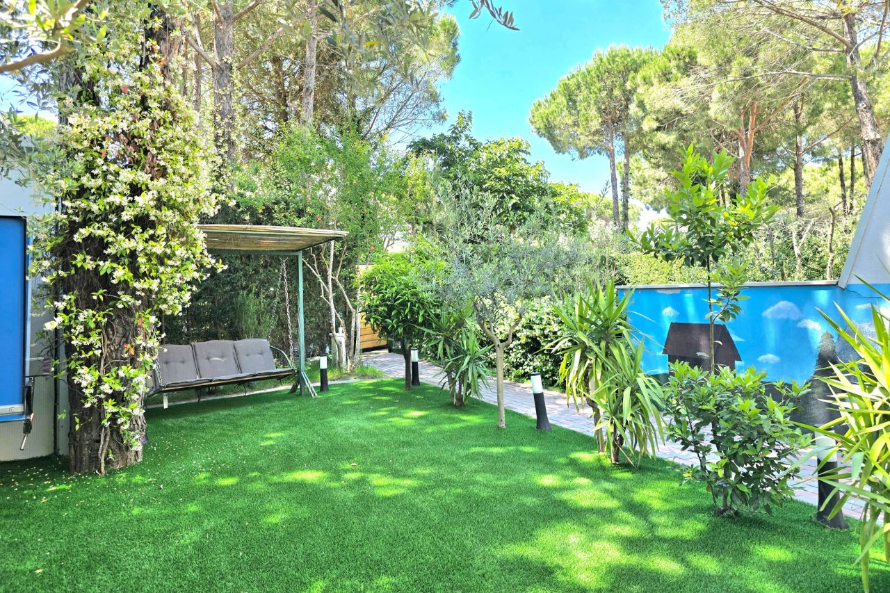 Floral Apartament Lura 3, Gjiri i Lalzit