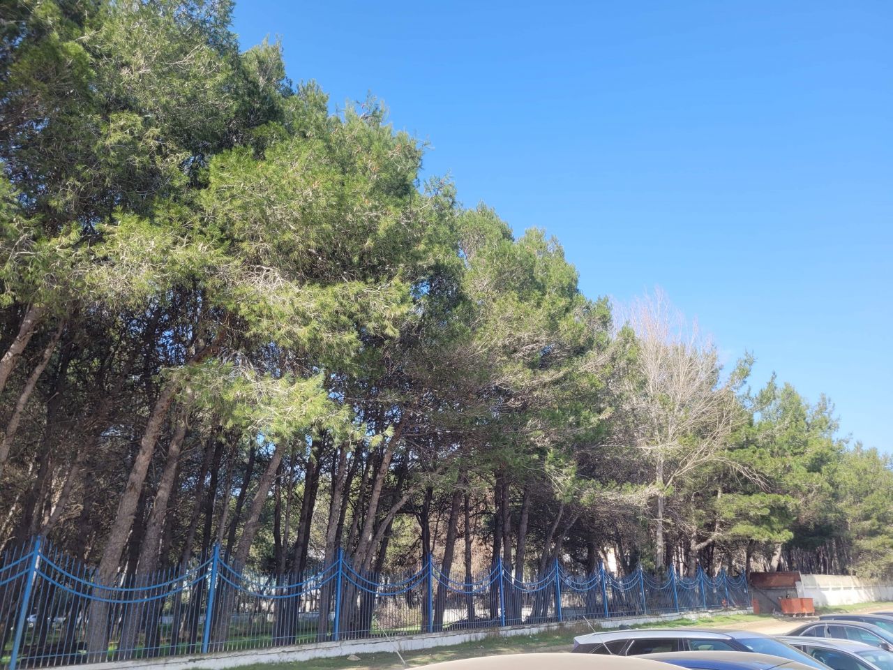 Apartamente Per Shitje Ne Qerret Durres Shqiperi Pallat I Ri Ne Ndertim