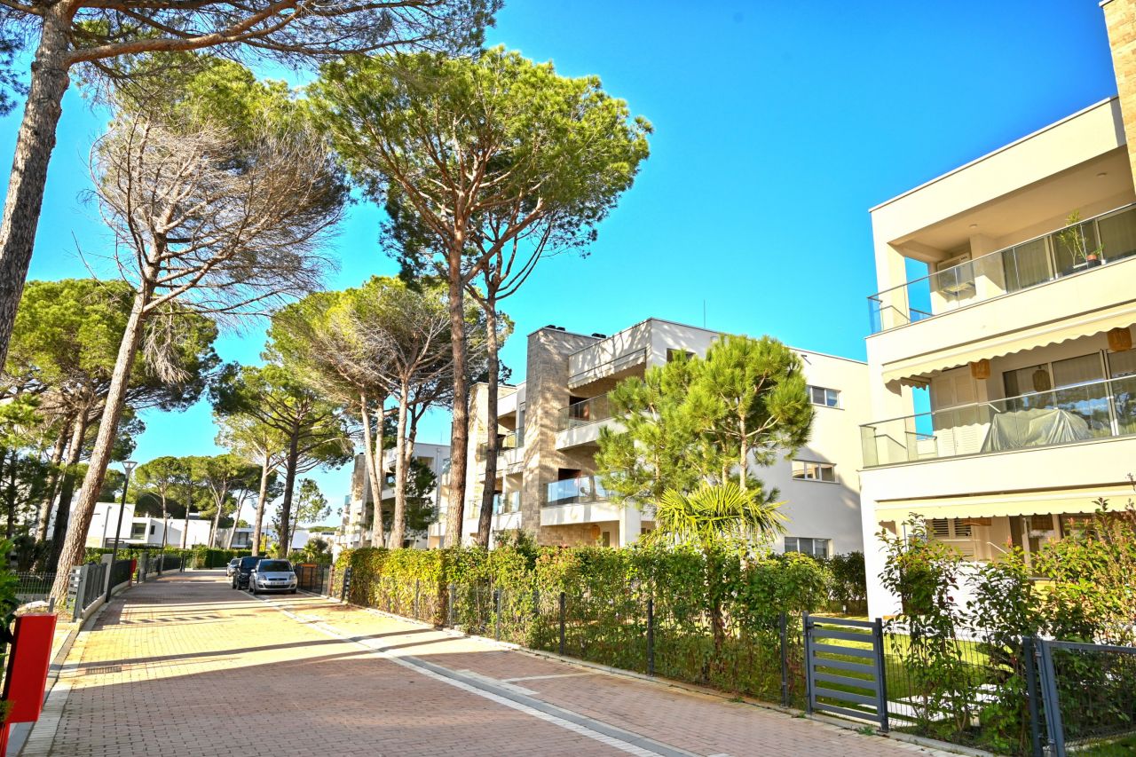 21 Lalzit Bay, 2015, Durres, Albania