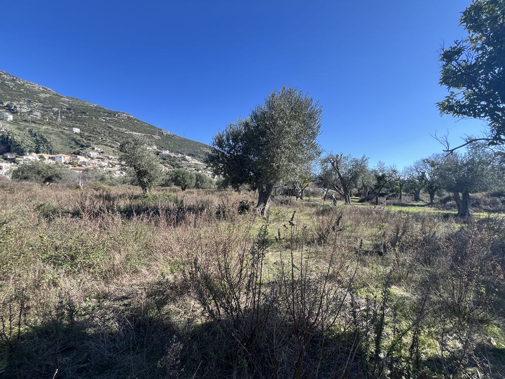 Land For Sale In Qeparo Albania, Located In The Road Which Leads To The Beach