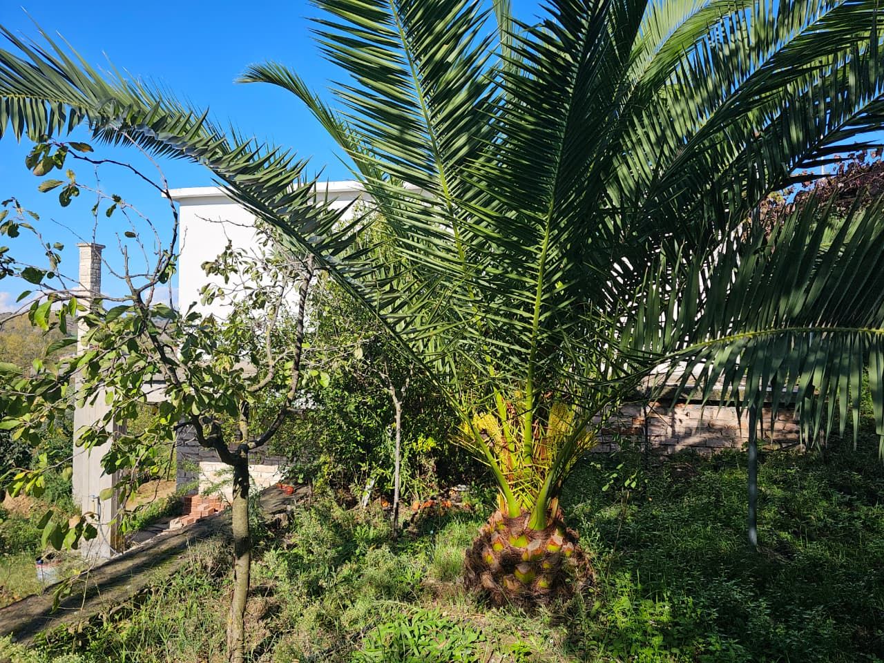 House For Sale in Saranda Albania - Xarre Village