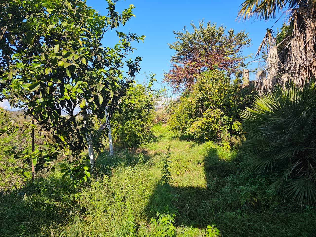 House For Sale in Xarre Village