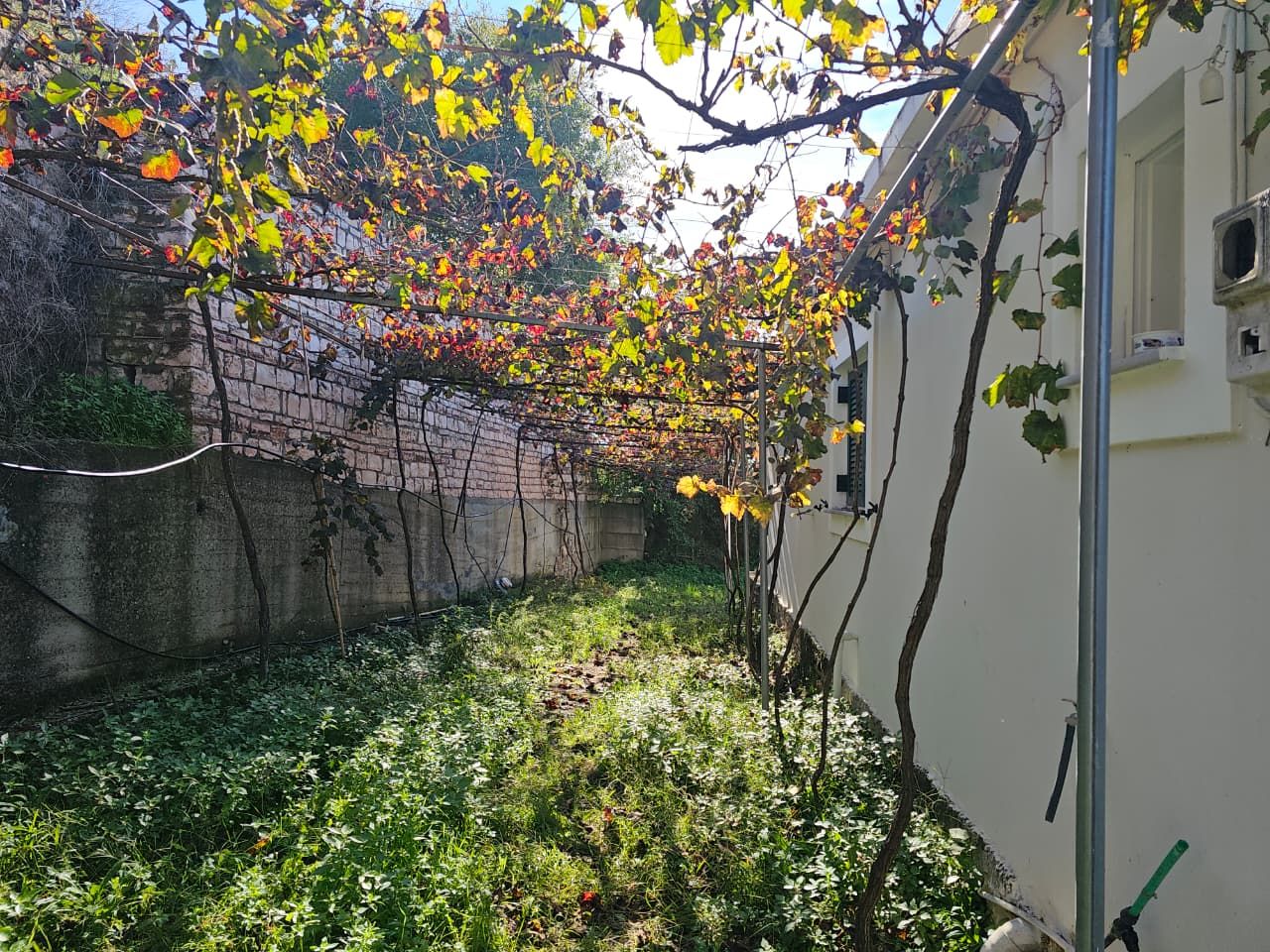 House For Sale in Xarre Village