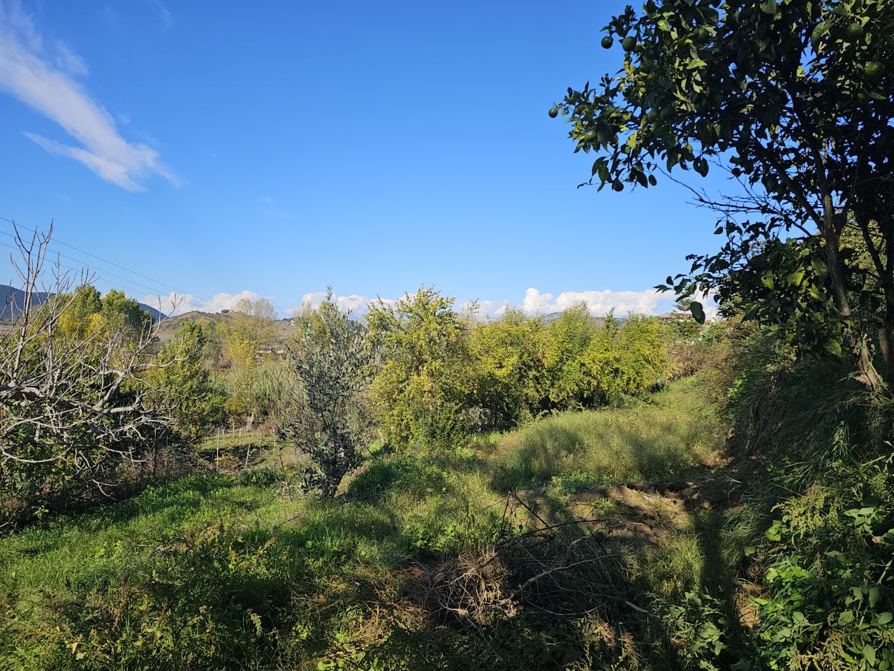 House For Sale in Xarre Village