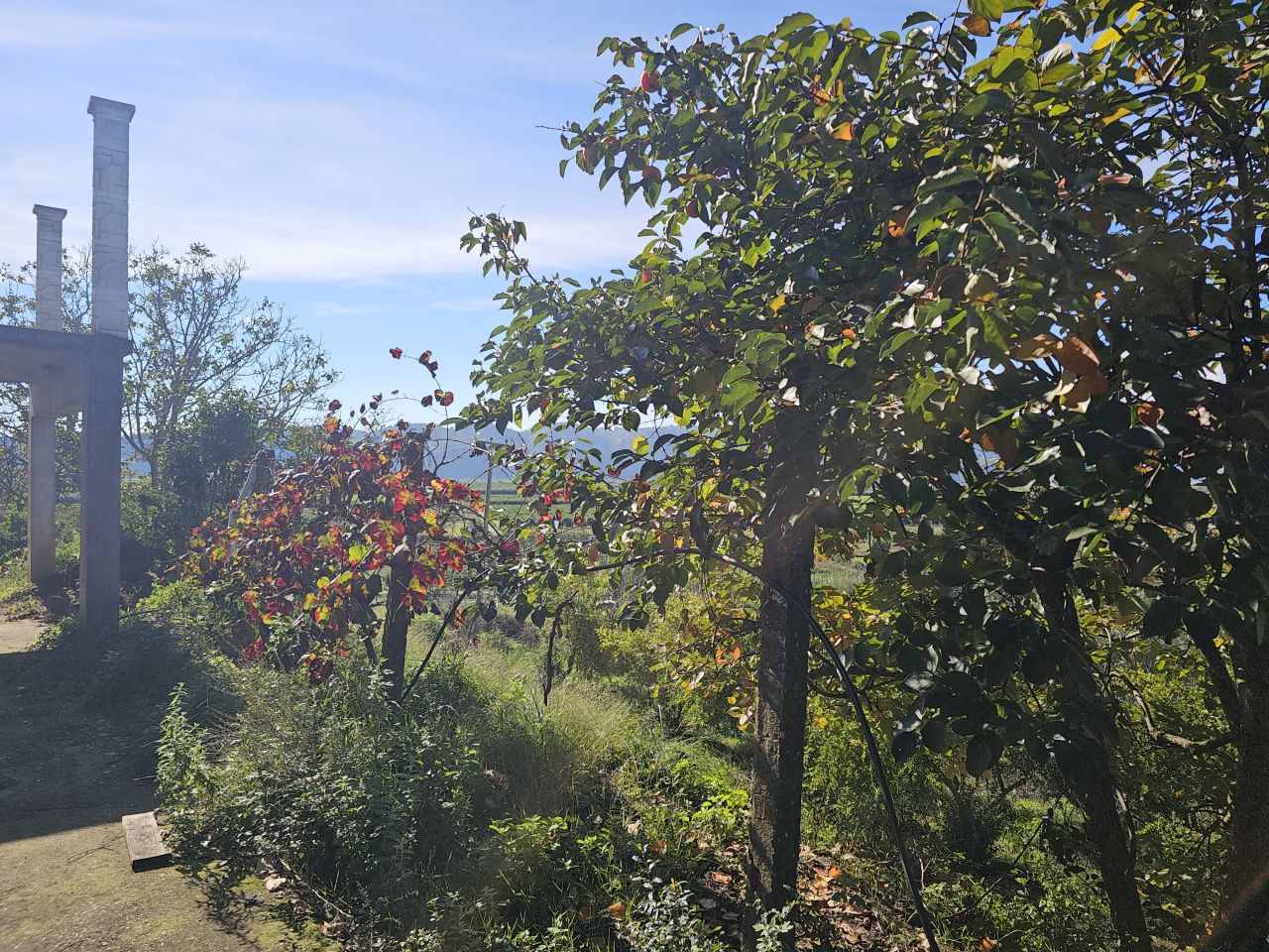 House For Sale in Saranda Albania - Xarre Village