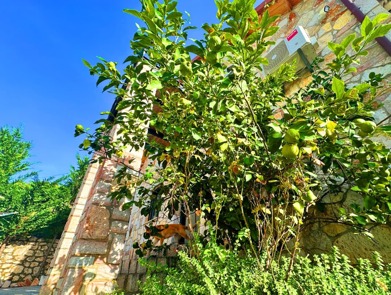 Stone Villa For Sale In Saranda Albania With Panoramic Sea Views