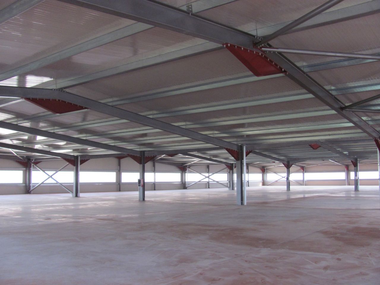 Warehouse for Rent in Tirana