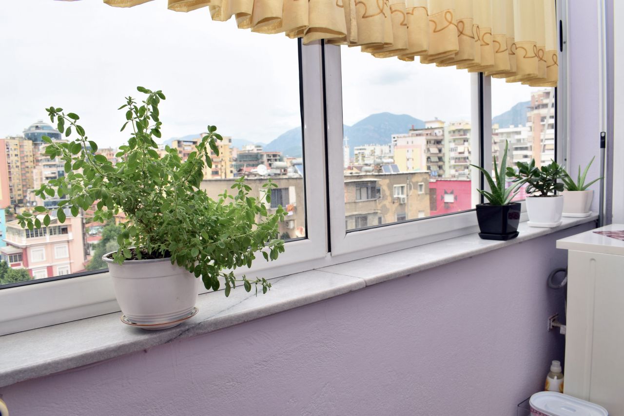 Apartament Me Qira ne Tirane Pazari i Ri 