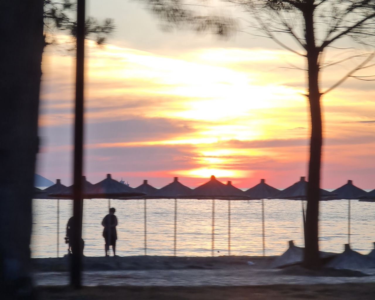 5 Rruga Çameria, Vlore 9401