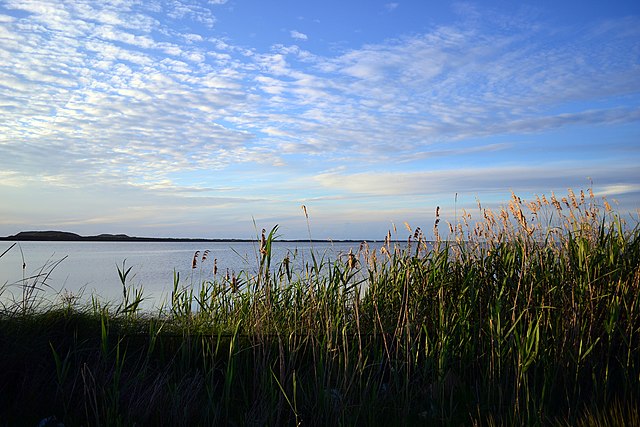 Albansk eiendom til salgs i Vlora
