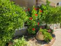 House For Sale In Vlore Albania, Near The Beach